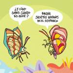 Señales de amor