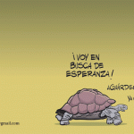 En busca de esperanza