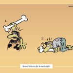 Evolución