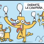 El proceso político