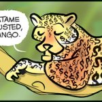 Animales en los billetes