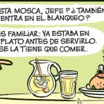 La mosca y el blanqueo