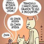 El desquite