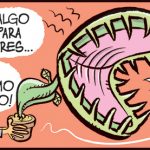 Algo chico, para interiores