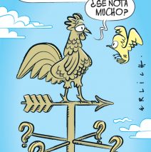 Crisis vocacional