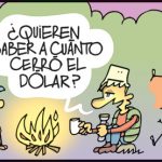 Historias de campamento