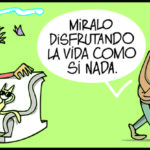 Un provocador