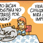 Los gatos