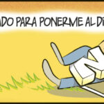 Aprovechando el feriado