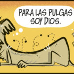 Vida de perros