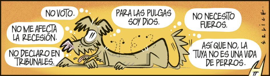 Vida de perros
