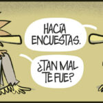 ¿Tan mal te fue?